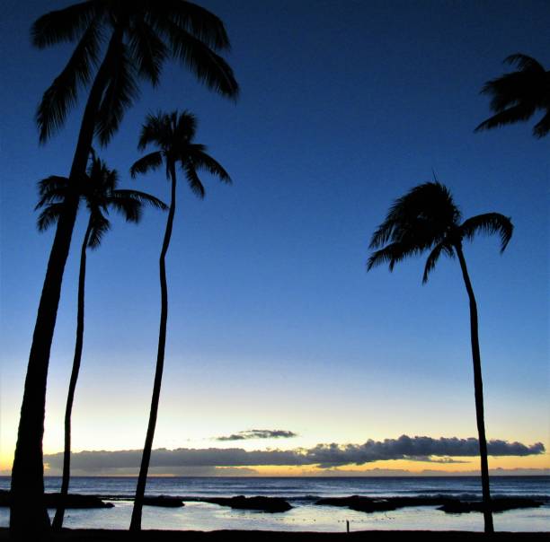 istock Skys after glow from Ko'Olina sunset 12 20 2018, Kapolei, Oahu, HI 1085482792