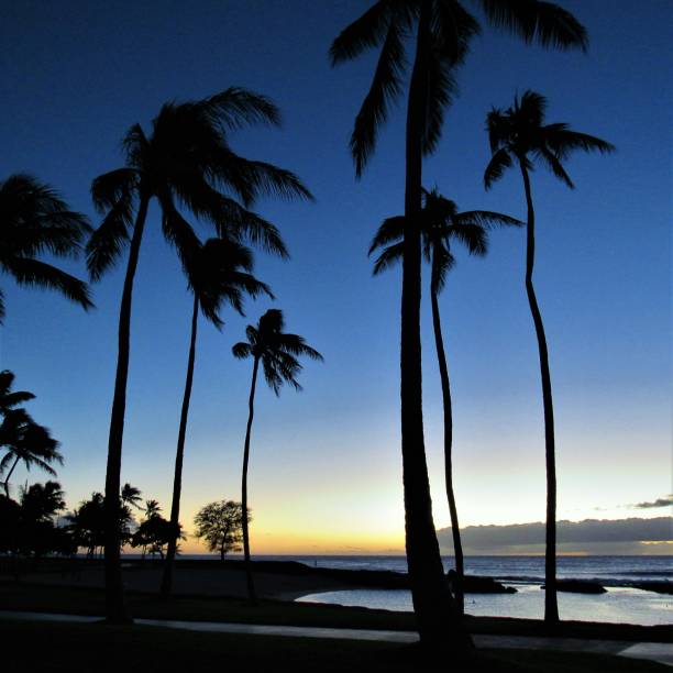istock Skys after glow from Ko'Olina sunset 12 20 2018, Kapolei, Oahu, HI 1085482796