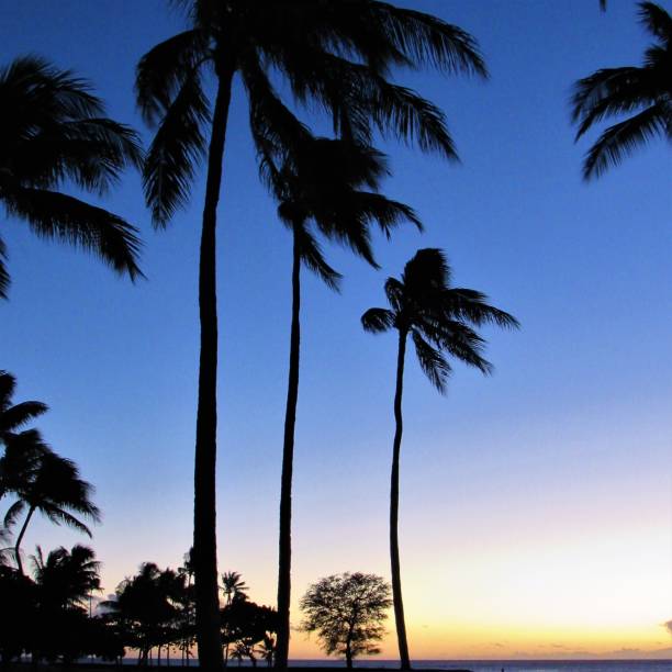 istock Skys after glow from Ko'Olina sunset 12 20 2018, Kapolei, Oahu, HI 1085483002