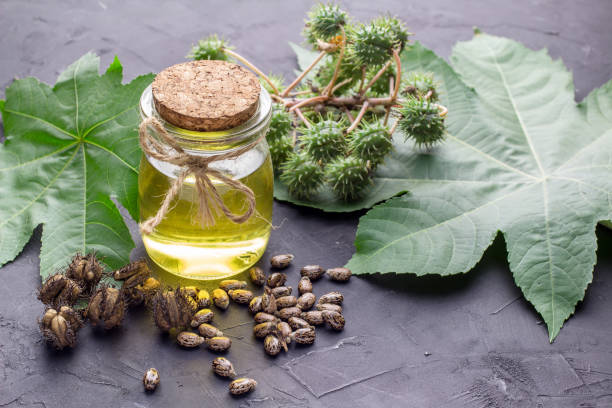 istock castor oil on the black table 1085495042