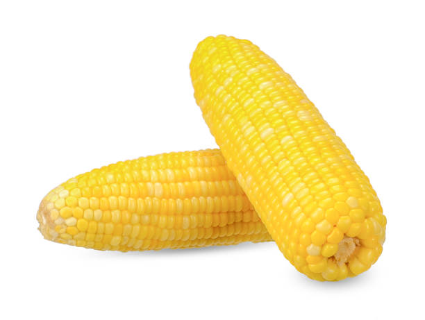 istock Fresh sweetcorn isolated on white clipping path 1085519078