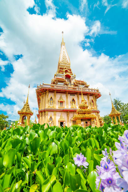 viaggia verso il tempio di chalong, phuket, thailandia - phuket province thailand tourist asia foto e immagini stock