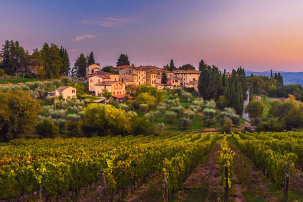 View on Fonterutoli on sunset. It is hamlet of Castellina in Chianti in province of Siena. Tuscany. Italy. stock photo