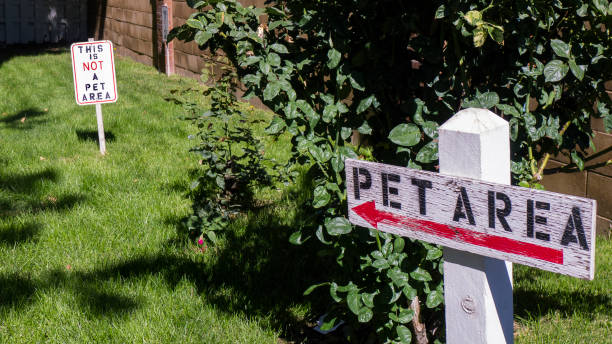 istock Pet Area and Not a Pet Area Signs 1085546124