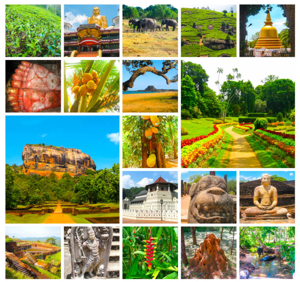 Collage of images of Sri Lanka with Sigiriya