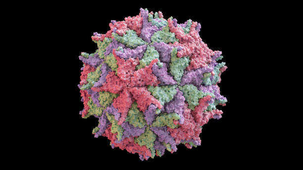 istock 3D CG rendered image of scientifically accurate Nodamura Virus (Nodaviridae) Capsid Structure based on PDB : 1NOV (surface style) 1085561004