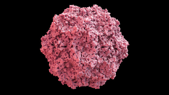 3D CG rendered image of scientifically accurate Feline Panleukopenia Virus (cat distemper virus) Capsid Structure based on PDB : 1FPV (surface style)