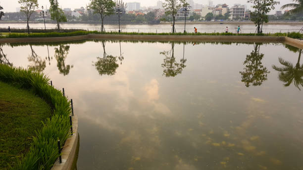 istock Trees reflection on the lake by dawn 1085561902