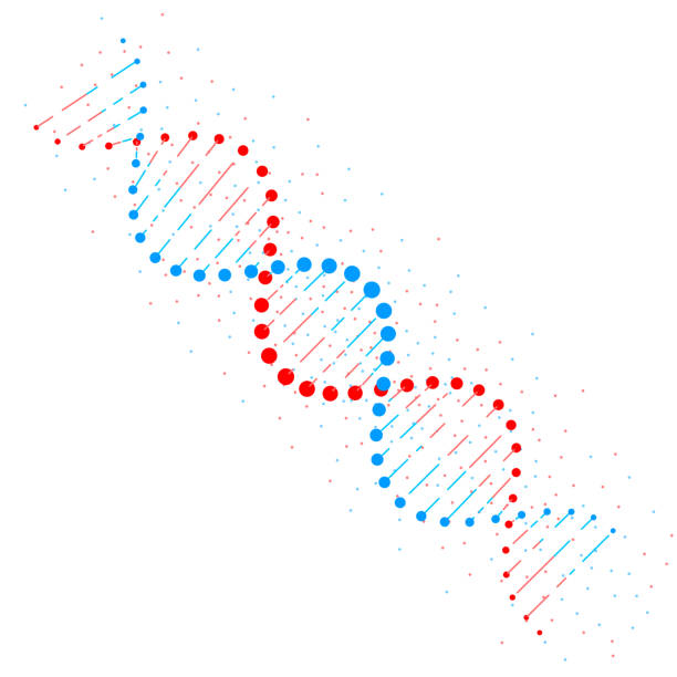 抽象的な dna 鎖構造が白い背景に分離されました。バイオ テクノロジーのコンセプトです。ベクトル図 - genetic information点のイラスト素材／クリップアート素材／マンガ素材／アイコン素材