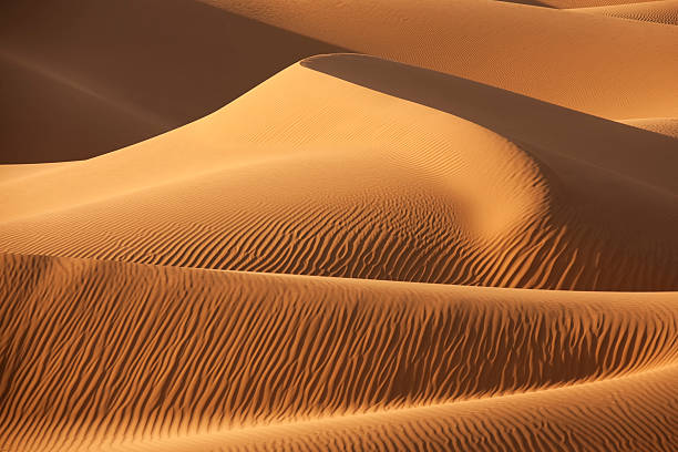 Desert sand dunes stock photo