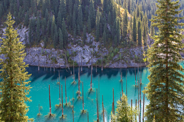 istock Kaindy Lake in Kazakhstan 1085594188