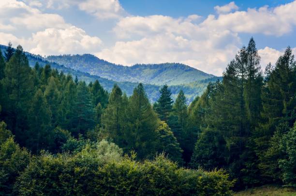 istock Beautiful fairytale mountain landscape. 1085594902
