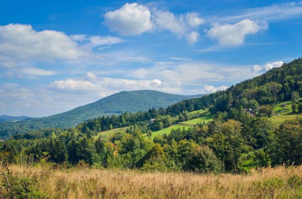 istock Beautiful rural mountain landscape. 1085595076