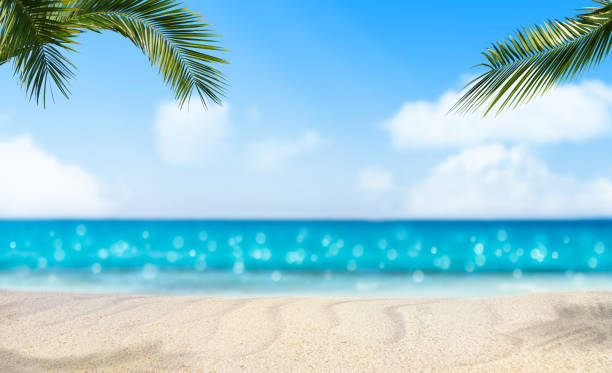 istock idyllic sand beach under palm leaves 1085596400