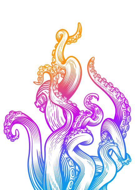 ilustraciones, imágenes clip art, dibujos animados e iconos de stock de tentáculos de un pulpo. - octopus tentacle tentacle sucker animal