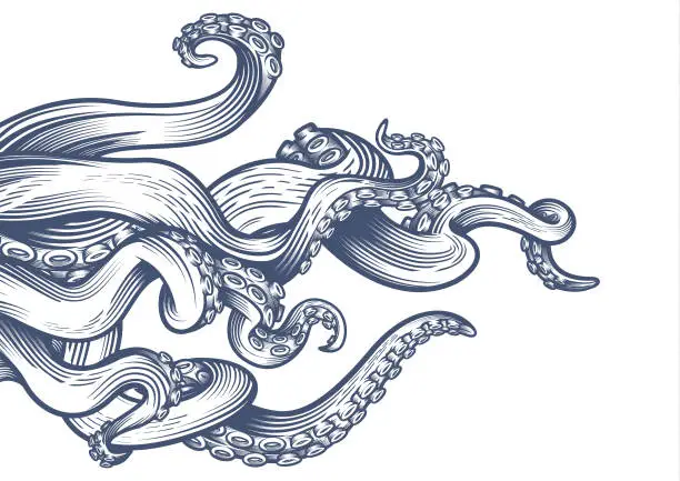 Vector illustration of Tentacles of an octopus.