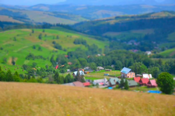 Summer landscapes