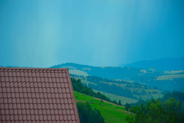Summer landscapes