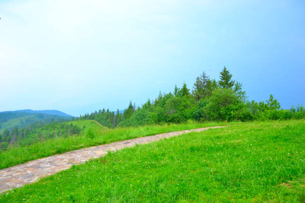 Summer landscapes
