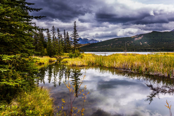istock The valley in Canada 1085618212
