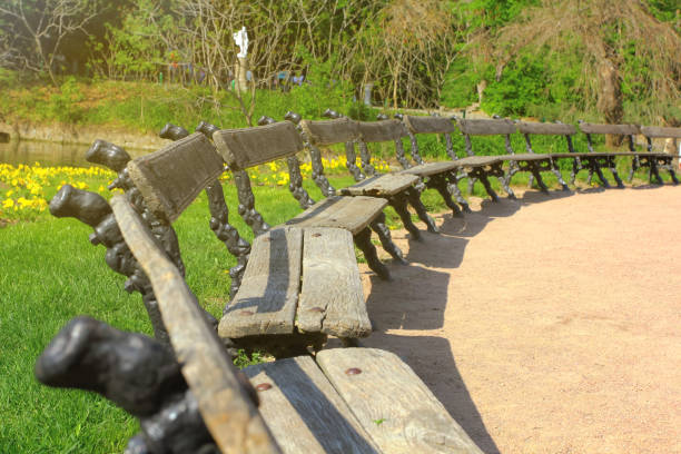 istock Benches installed in semicircle in park, beautiful warm sunny day, recreation 1085629488