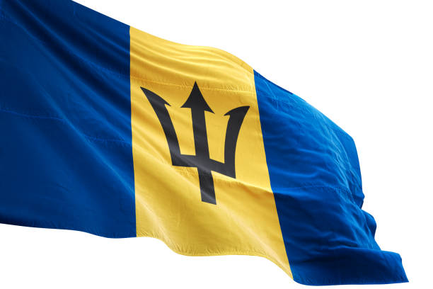 Barbados flag close-up waving isolated white background realistic 3d illustration