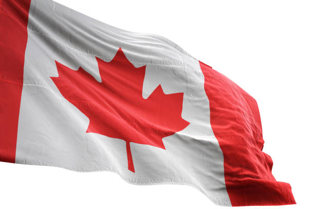 canada flag close-up waving isolated white background - canadian flag canada flag canada day imagens e fotografias de stock