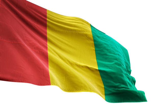 Guinea flag close-up waving isolated white background realistic 3d illustration