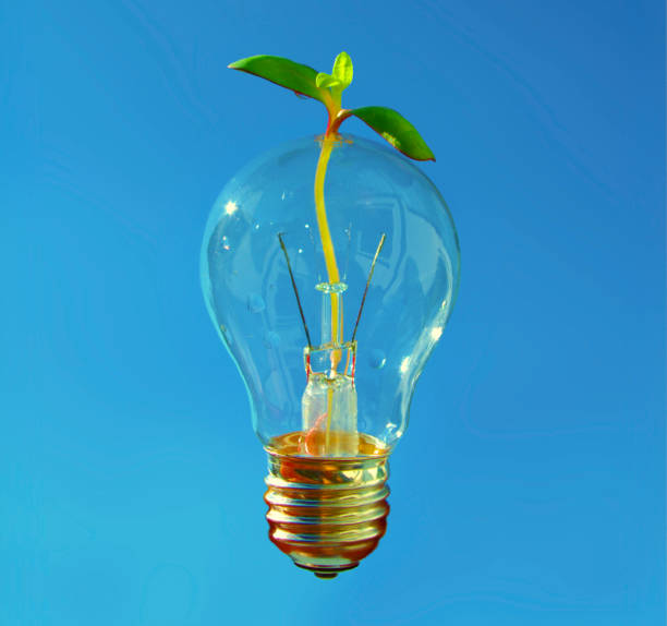 nouvelle idée pour un développement sain et durable. ampoule brillant avec une petite plante qui traverse. - fondation de recherche photos et images de collection