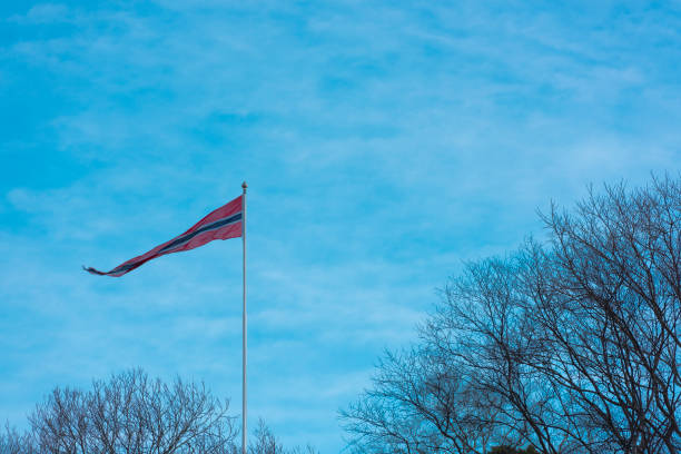 Pennon or pennant of the Kingdom of Norway in red, white and blue and beaches of naked trees against blue sky on windy day in winter.