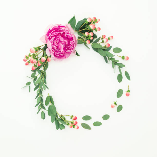 istock Floral round frame of pink peony and hypericum with eucalyptus branches on white background. Flat lay, top view 1085647144