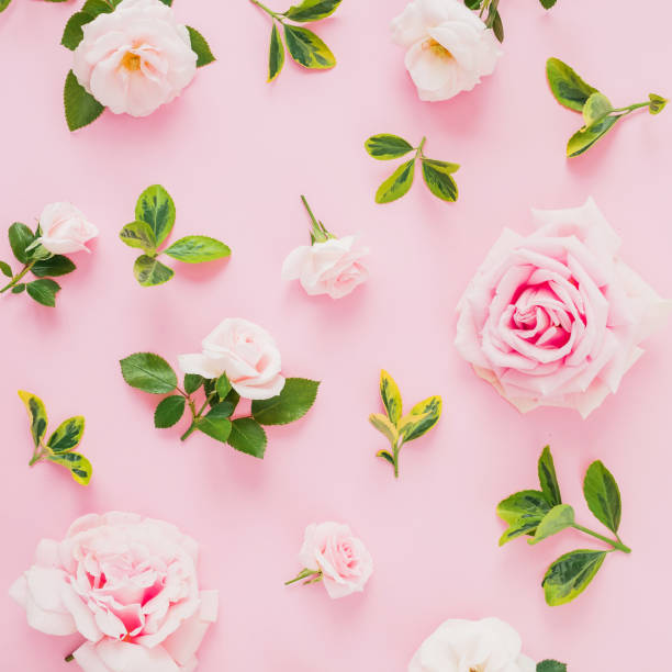istock Pattern composition with roses flowers and leaves on pastel pink background. Flat lay, top view. 1085647154