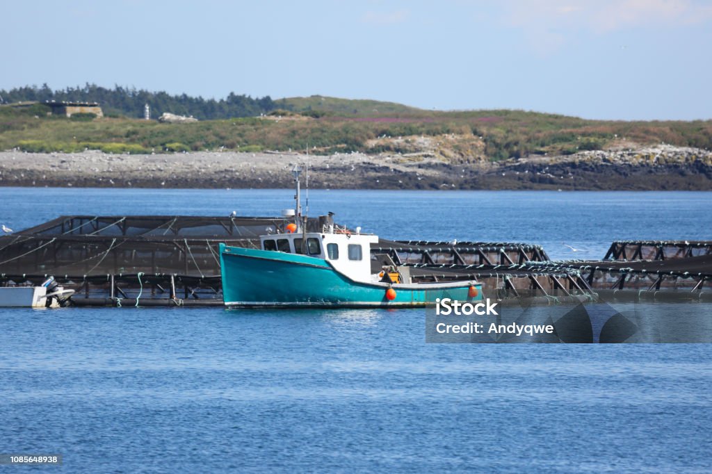 Fish plants and salmon farming, Briar Island, Nova Scotia, Canada Canada Stock Photo