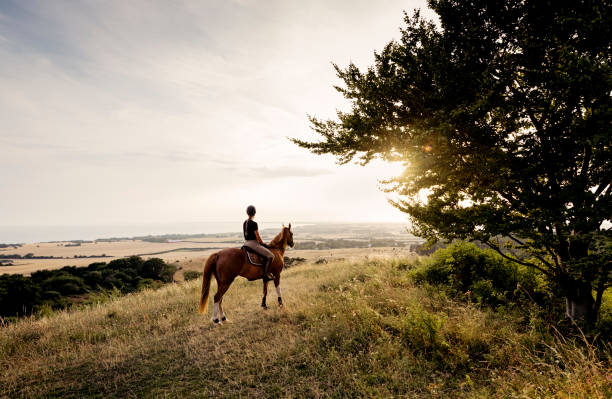 horse and rider admiring the view over møn in denmark. - mounted imagens e fotografias de stock