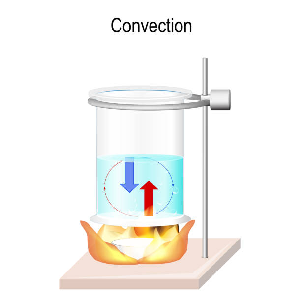 Convection is the heat transfer within fluids. Convection is the heat transfer within fluids. Advection, and diffusion. process of moving hot water and cold when heated. Transmission of energy in liquids. Vector illustration for science, and educational use heat transfer fluid stock illustrations