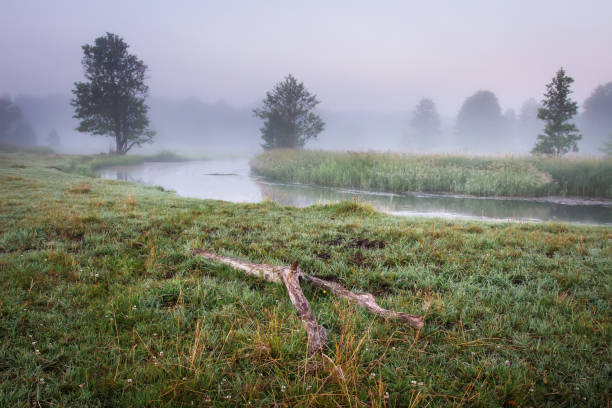 istock Dramatic foggy morning on wild river 1085656744