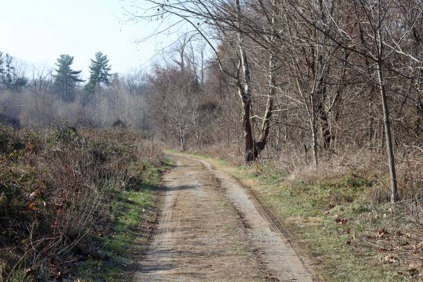 istock Dirt Country Road 1085667752