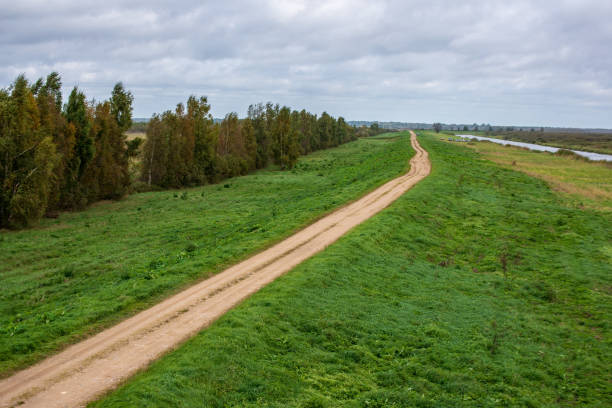 istock countryside road in summer with large trees on both sides 1085670138
