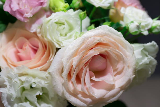 istock Flowers, white and pink roses, close up 1085672988