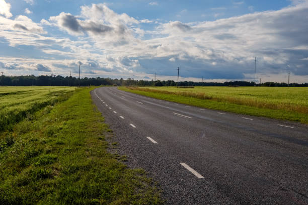istock countryside road in summer with large trees on both sides 1085676314