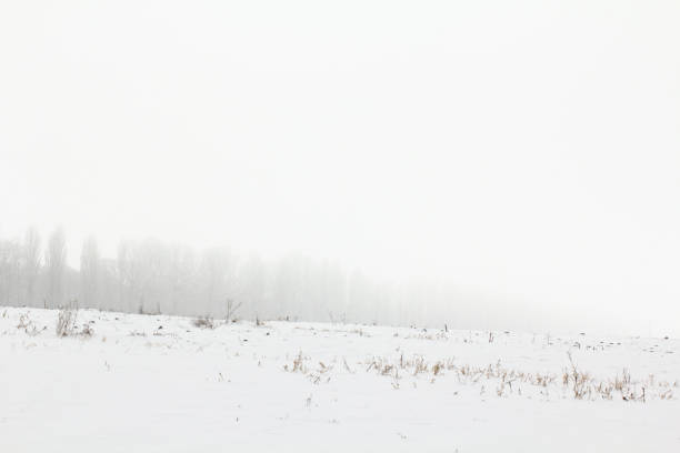 istock Winter landscape with snow covered countryside.Snow-covered rural fields 1085676658