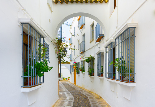 Pintoresca calle blanco de Córdoba. Casas de blanco típico andaluz en el sur de España photo