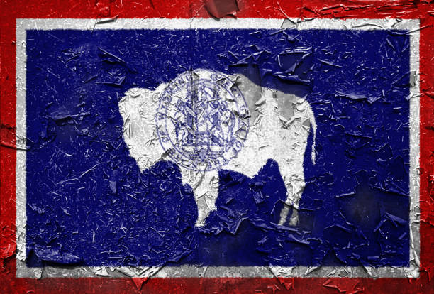 Wyoming State Flag emblem on metallic texture