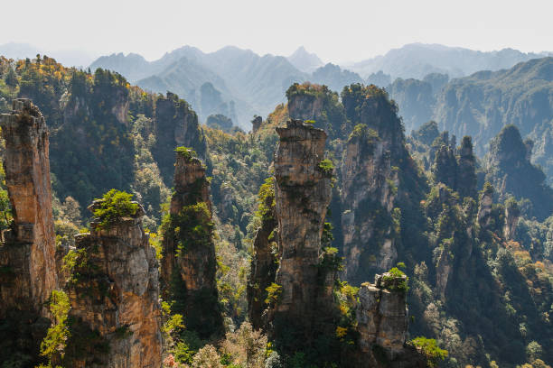 istock Zhangjiajie Mountains 1085679204