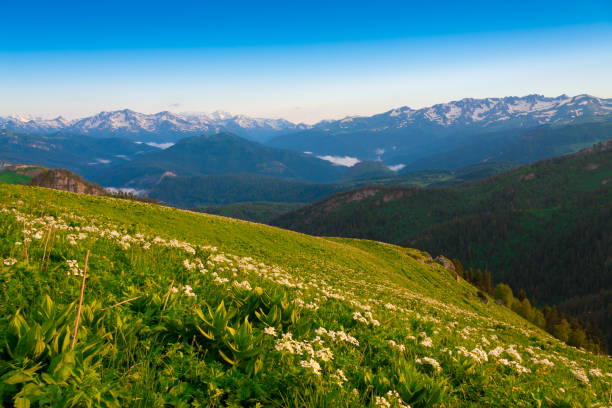 istock Mountain summer. Sunny day. Rocky route 1085689996