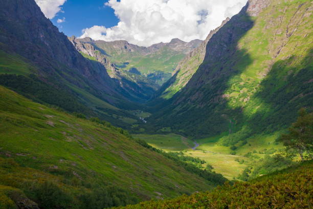 istock Mountain summer. Sunny day. Green grass and flowers 1085690372