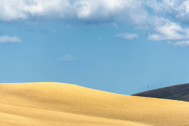 istock basilicata hills landscapes 1085690566