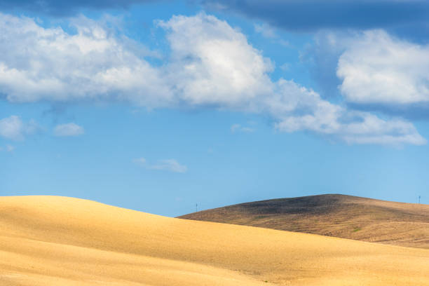 istock basilicata hills landscapes 1085692810