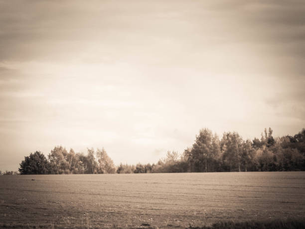 Autumnal field in cloudy day. Nature of Pomerania, Poland. Copy space on cloudy sky. BW abstract filter.