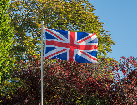 UK flag Union Jack flying in a strong wind against a background of fall or autumn trees